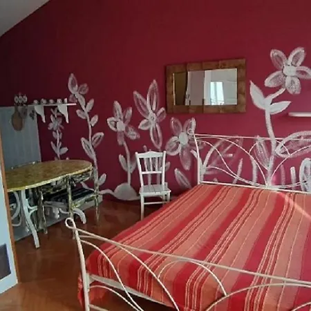 Drazena 伯德古拉